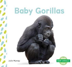 Baby Gorillas