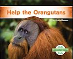 Help the Orangutans