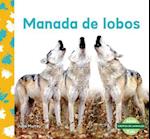 Manada de Lobos (Wolf Pack)