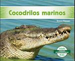 Cocodrilos Marinos (Saltwater Crocodiles)