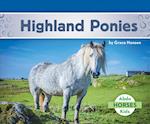 Highland Ponies