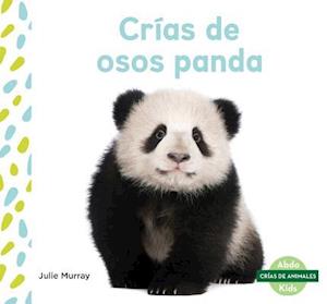 Crías de Osos Panda (Panda Cubs)