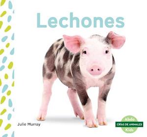 Lechones (Piglets)