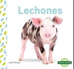 Lechones (Piglets)
