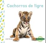 Cachorros de Tigre (Tiger Cubs)