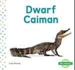 Dwarf Caiman