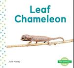 Leaf Chameleon