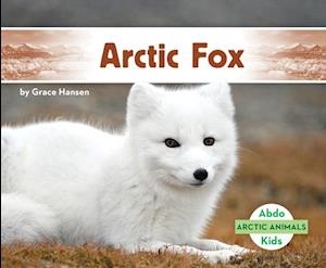 Arctic Fox