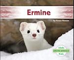 Ermine