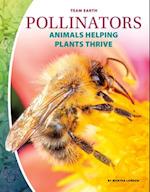 Pollinators