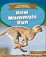 How Mammals Run