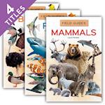 Field Guides for Kids (Set)