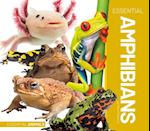 Essential Amphibians