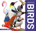 Essential Birds