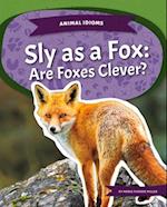 Sly as a Fox