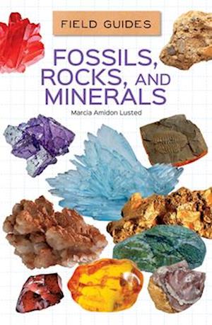 Fossils, Rocks, and Minerals