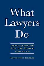 What Lawyers Do