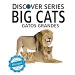 Gatos Grandes/Big Cats