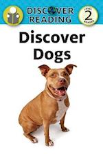 Discover Dogs