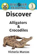 Discover Alligators & Crocodiles