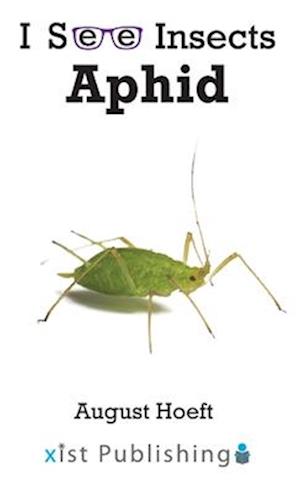 Aphid