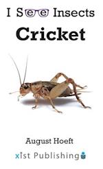 Cricket 