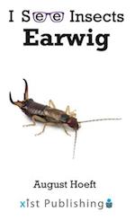 Earwig 