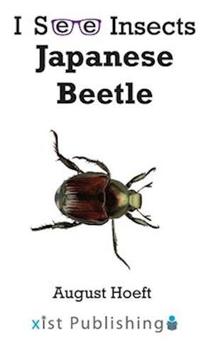 Japanese Beetle