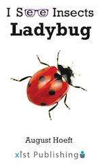 Ladybug 