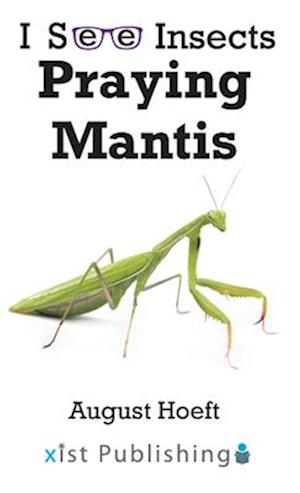 Praying Mantis