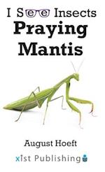 Praying Mantis 