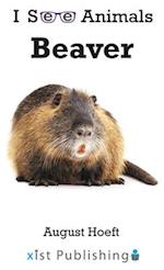 Beaver 