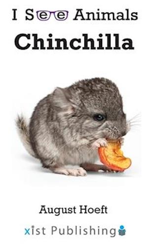 Chinchilla