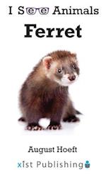 Ferret 