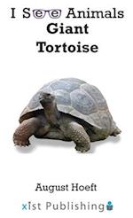 Giant Tortoise 