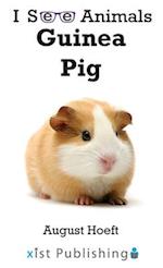 Guinea Pig 