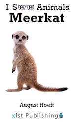 Meerkat 