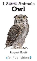 Owl 