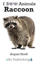 Raccoon 