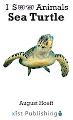 Sea Turtle 