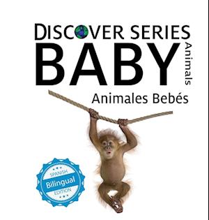 Baby Animals / Animales Bebés