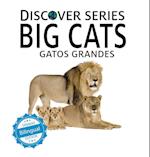 Big Cats / Gatos Grandes