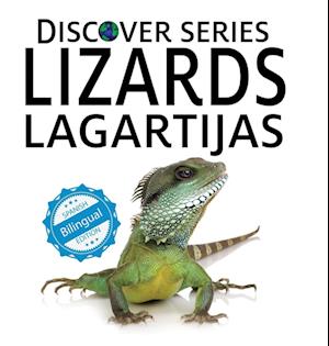 Lizards / Lagartijas