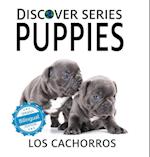 Puppies / Los cachorros 