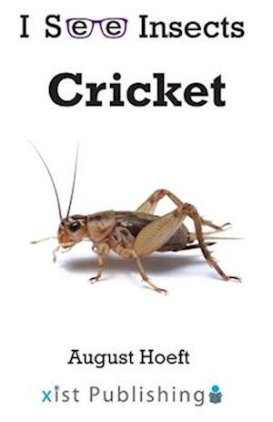 Cricket