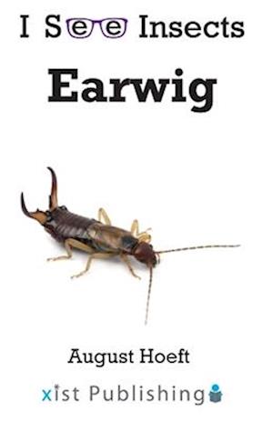 Earwig