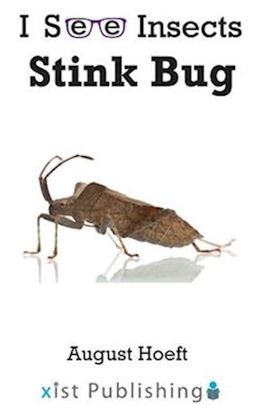 Stink Bug