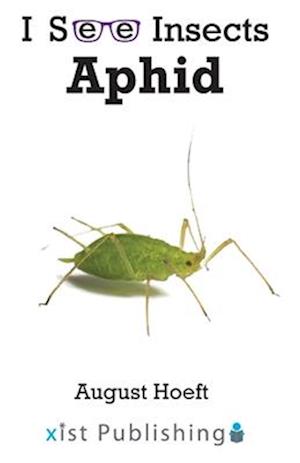 Aphid