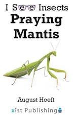 Praying Mantis 