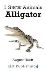 Alligator 